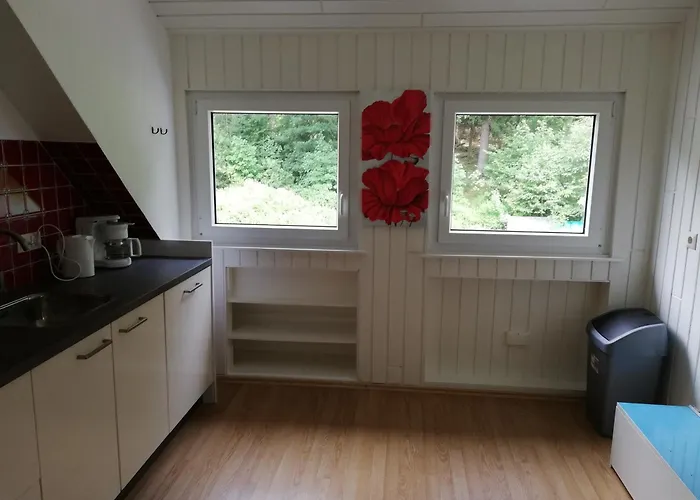 Jagdschloss Siedlinghausen Tatil Evi Winterberg